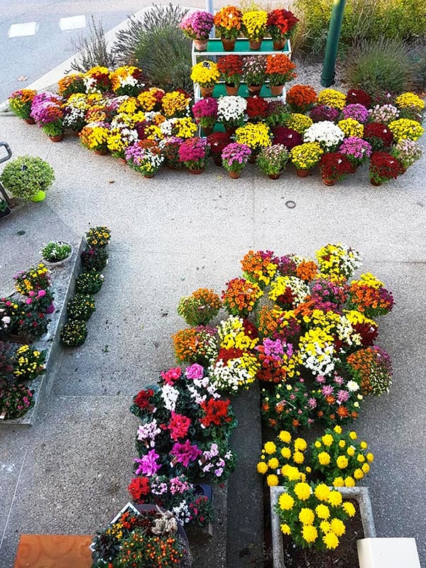 Notre boutique de fleurs à Quintenas
