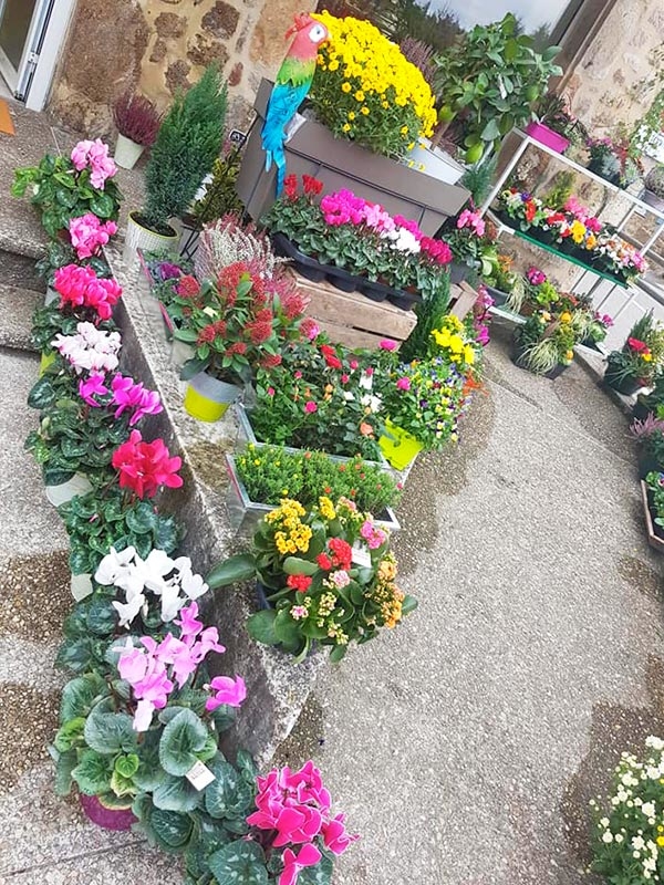 Notre boutique de fleurs à Quintenas